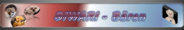 Banner 36_1