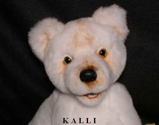 Kallin09