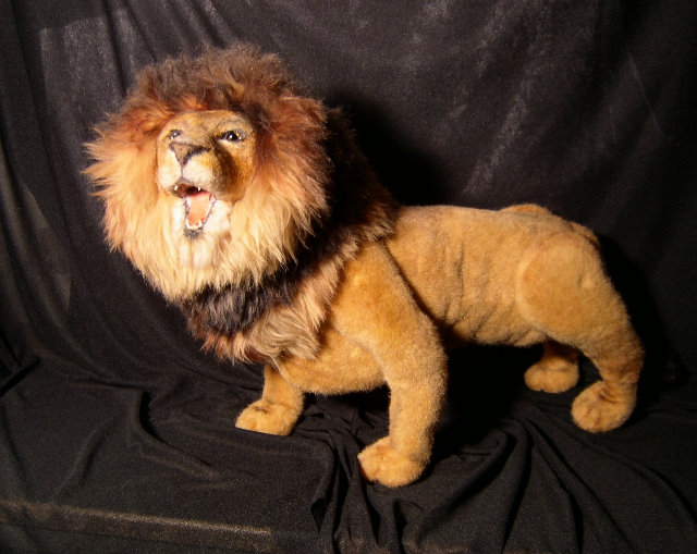 Leo35n