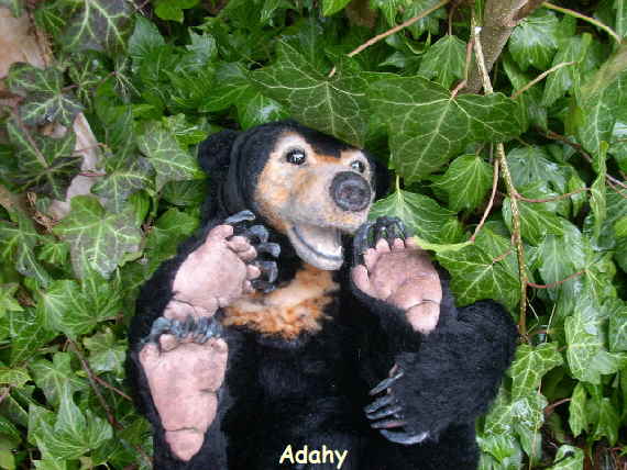 Adahy29n