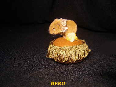 Bero08