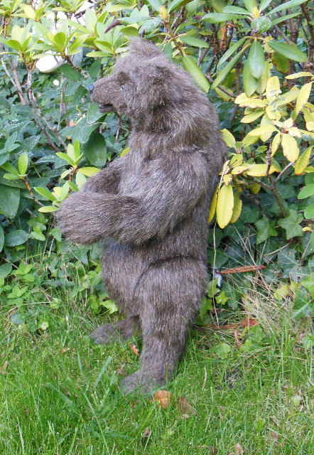 Braunbär 06b Braunbär 06b