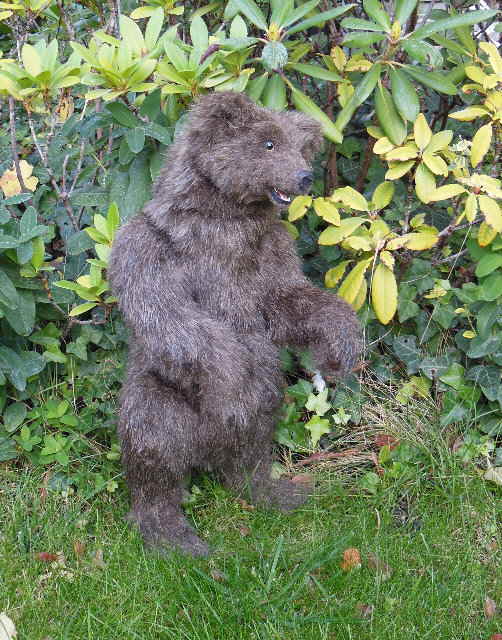 Braunbär 09b Braunbär 09b