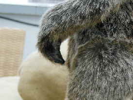 Erdmännchen24 Erdmännchen24