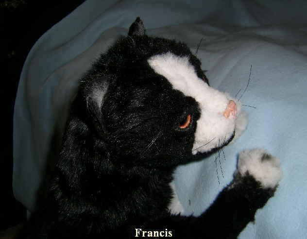 Francis 51