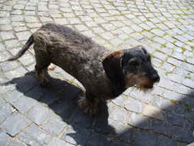 Freude01 Freude01