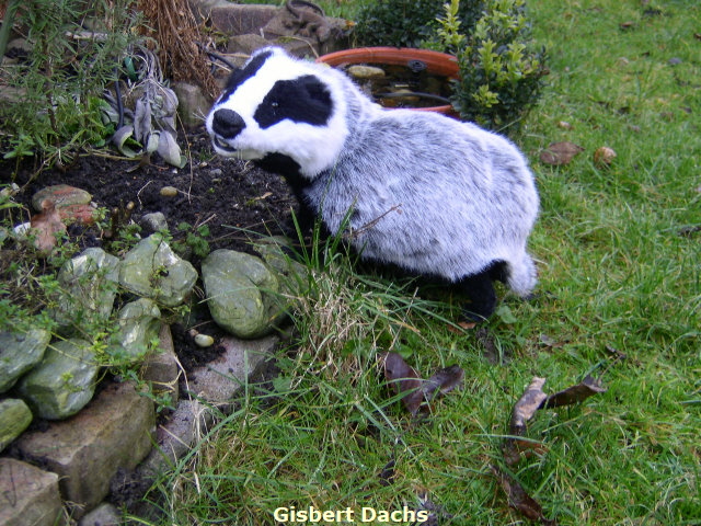 Gisbert02