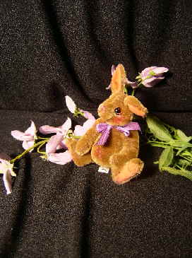Hase07