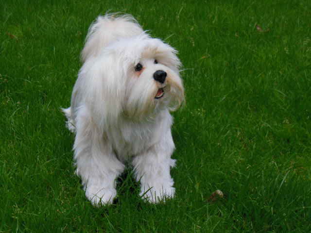 Hazel07 Hazel07