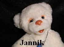 Jannik22n