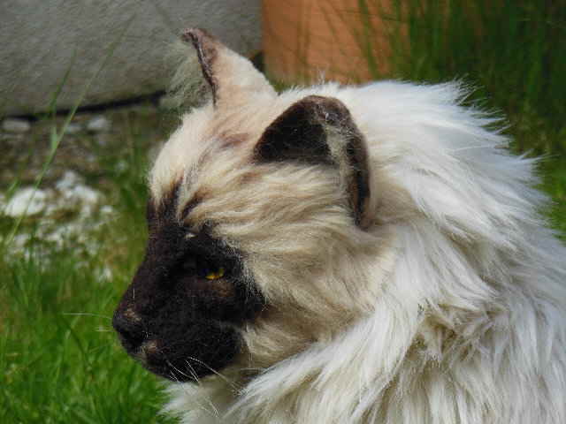 KittyHP03 KittyHP03