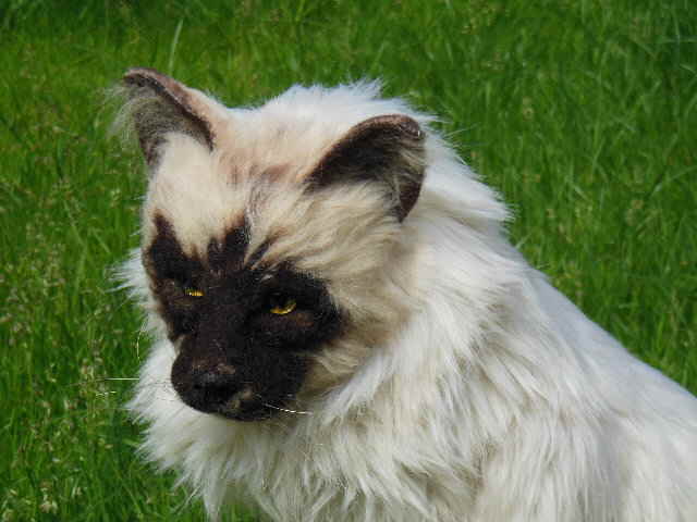 KittyHP04 KittyHP04