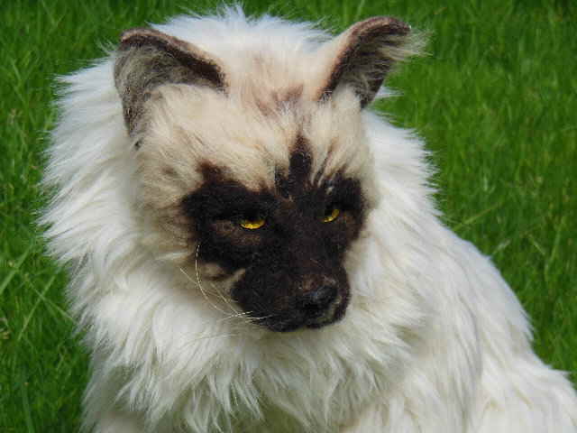 KittyHP05 KittyHP05