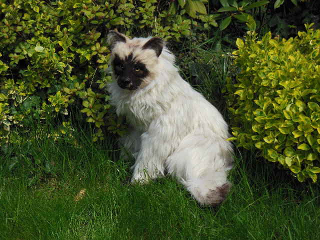 KittyHP07 KittyHP07