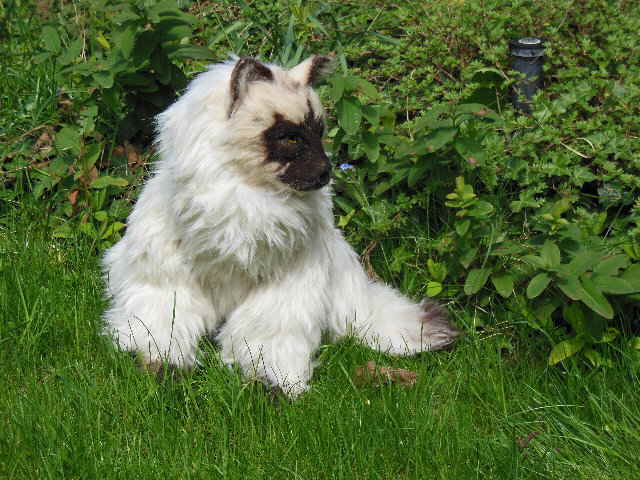 KittyHP09 KittyHP09