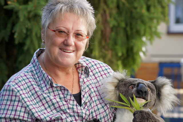 Koala35 Koala35