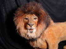 Leo04n Leo04n