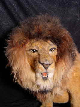 Leo12n Leo12n