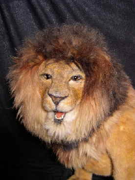 Leo13n Leo13n