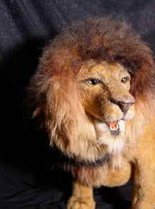 Leo14n Leo14n
