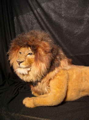 Leo21n Leo21n