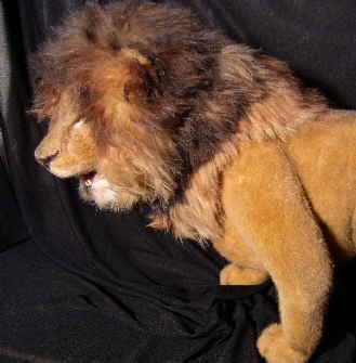 Leo39n Leo39n