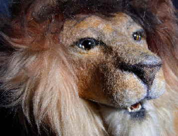 Leo55n Leo55n