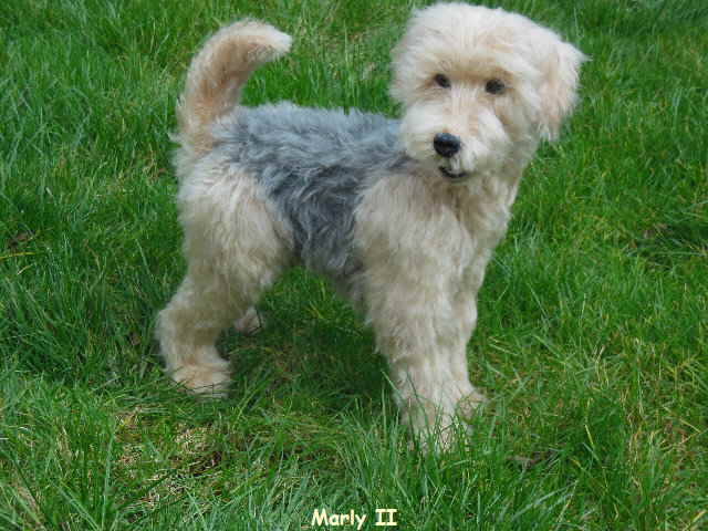 Marly II_11