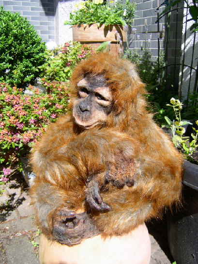 Orang20n Orang20n