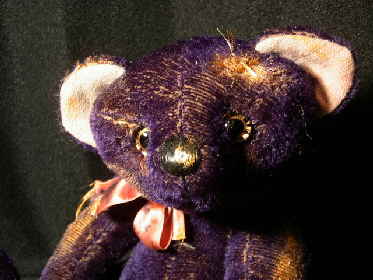Purple11 Purple11