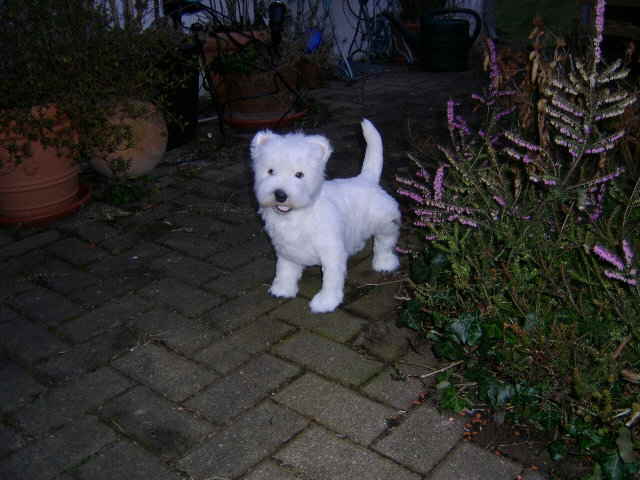 Scotch02 Scotch02