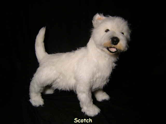 Scotch16