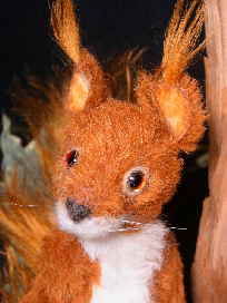 squirl16